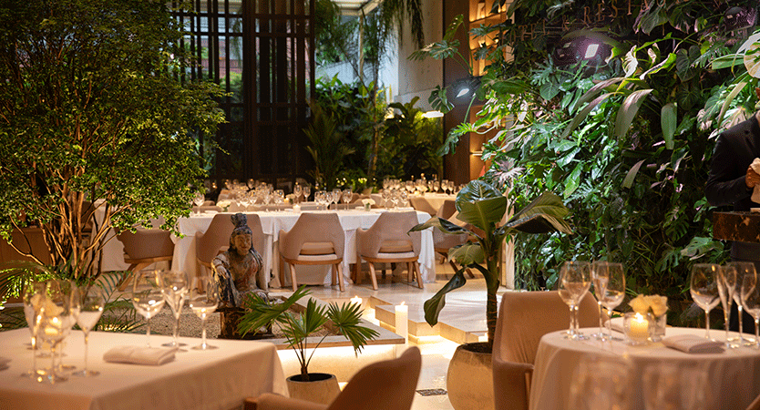 La-Revue--Elcielo-World-Tour-2026-restaurahte